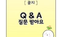 (공지) Q and A 질문 받아요