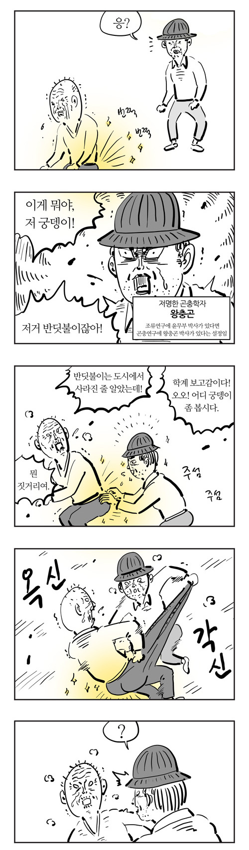 6 페이지