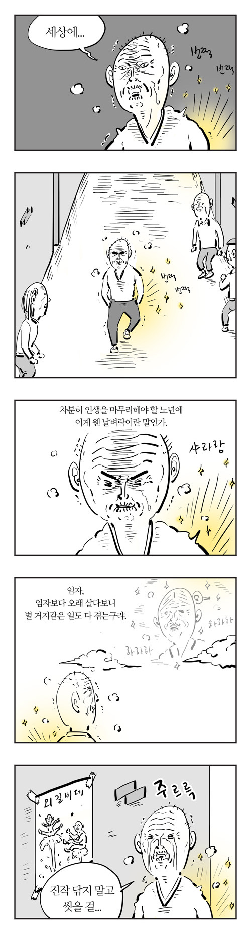 5 페이지
