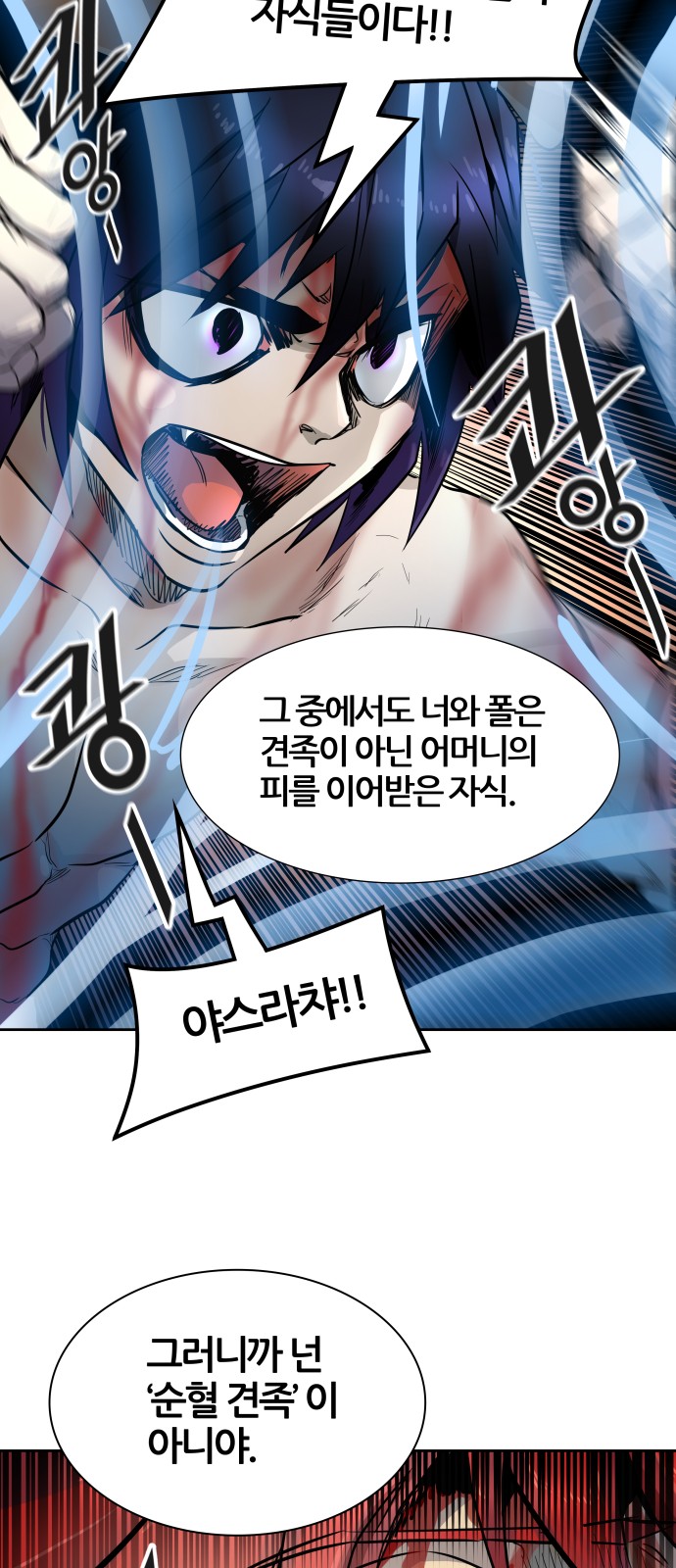 117 페이지