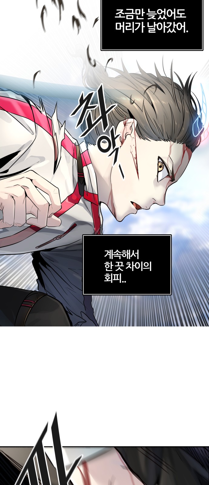 66 페이지