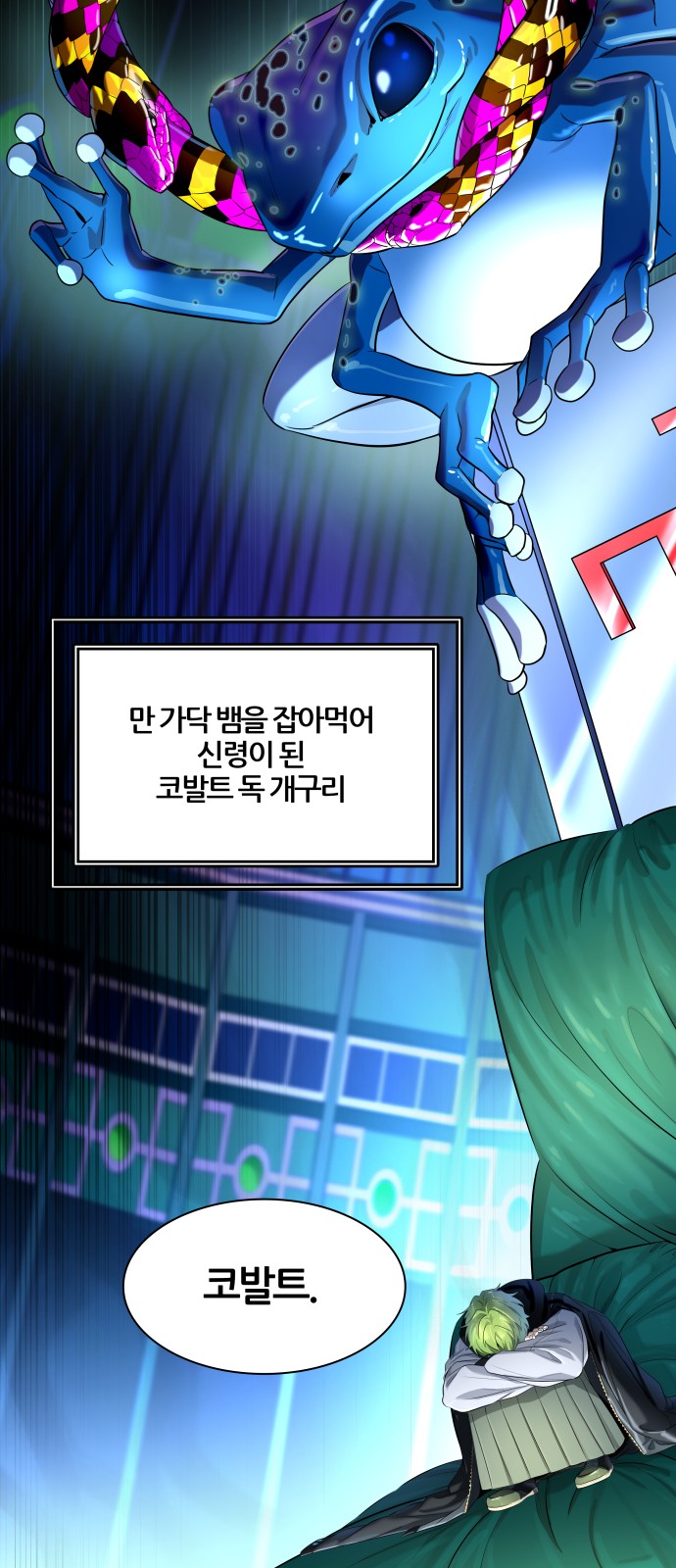 5 페이지
