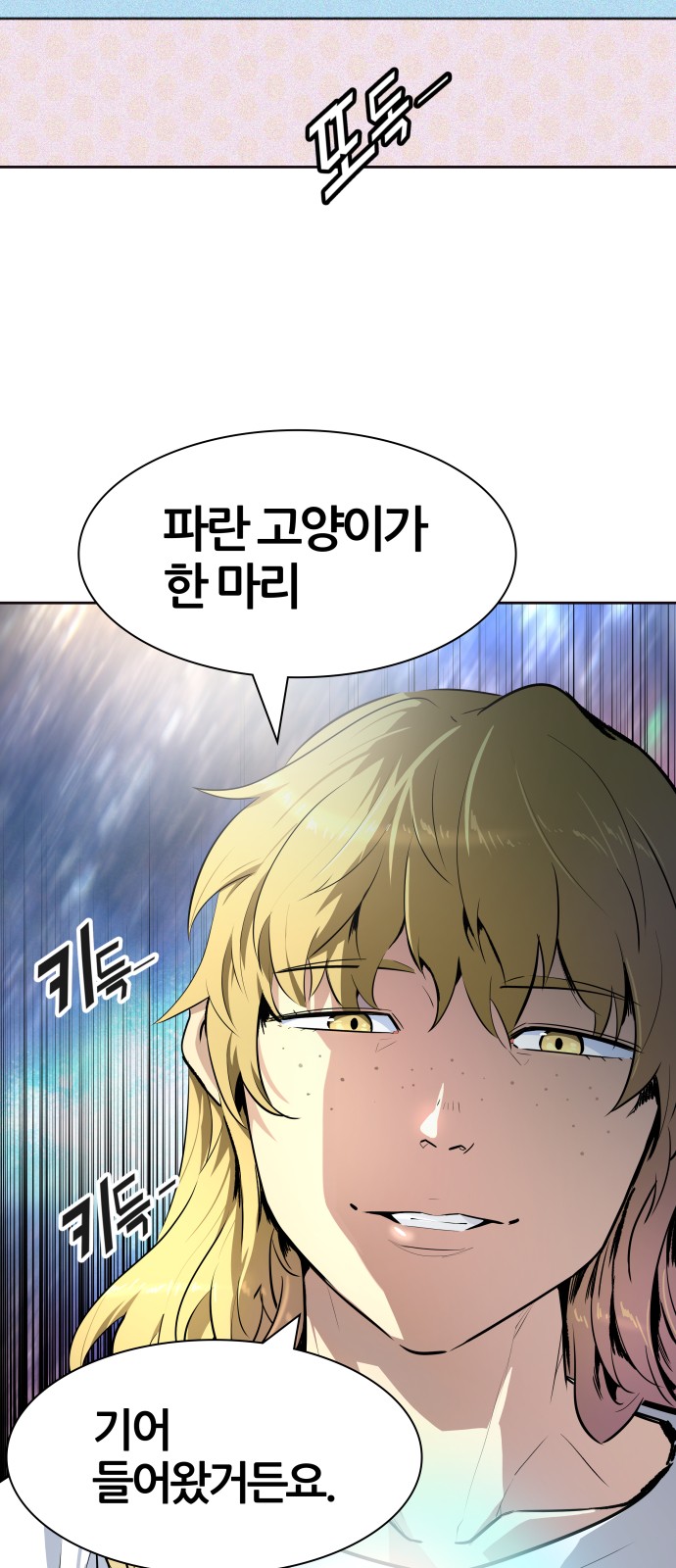 85 페이지