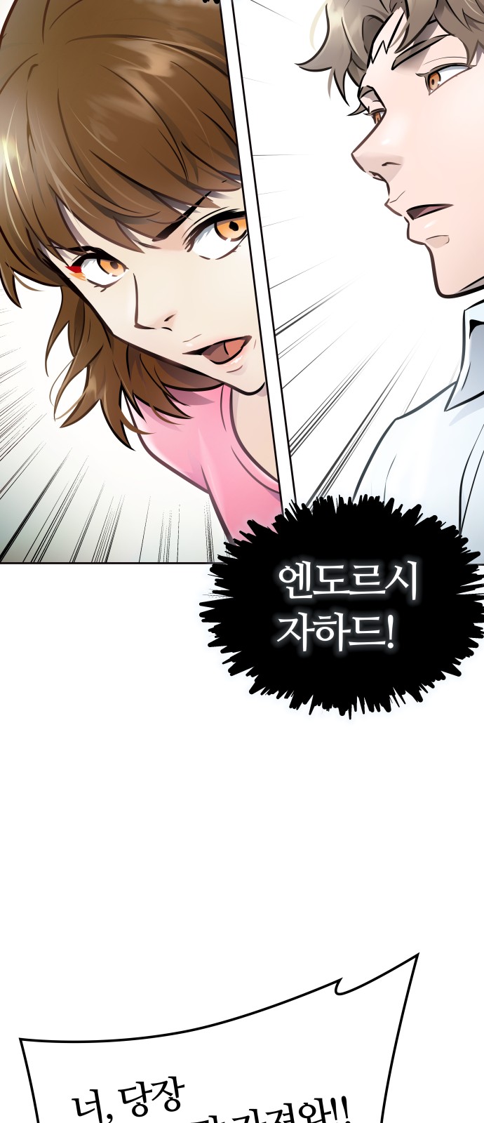 100 페이지
