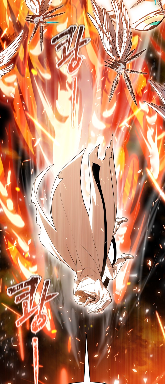 229 페이지
