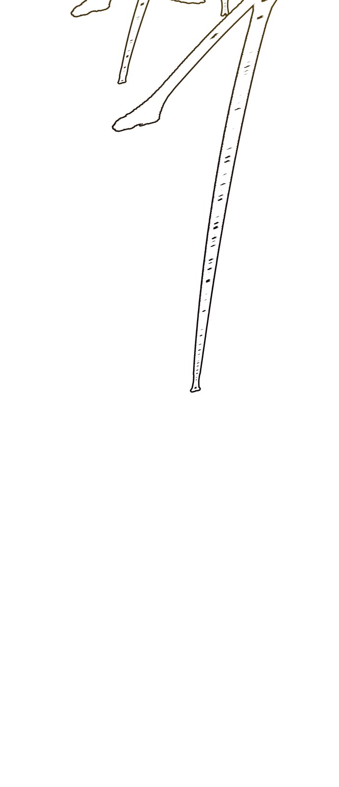 224 페이지
