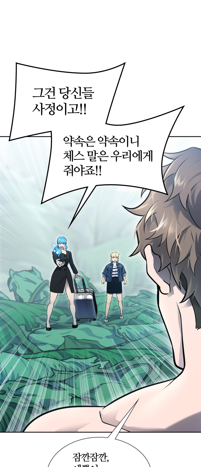66 페이지