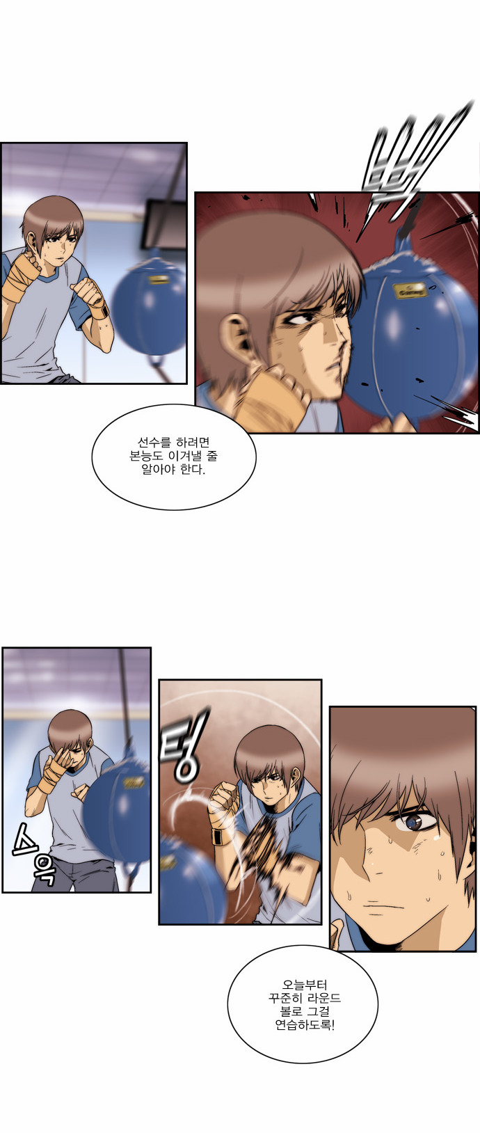 6 페이지
