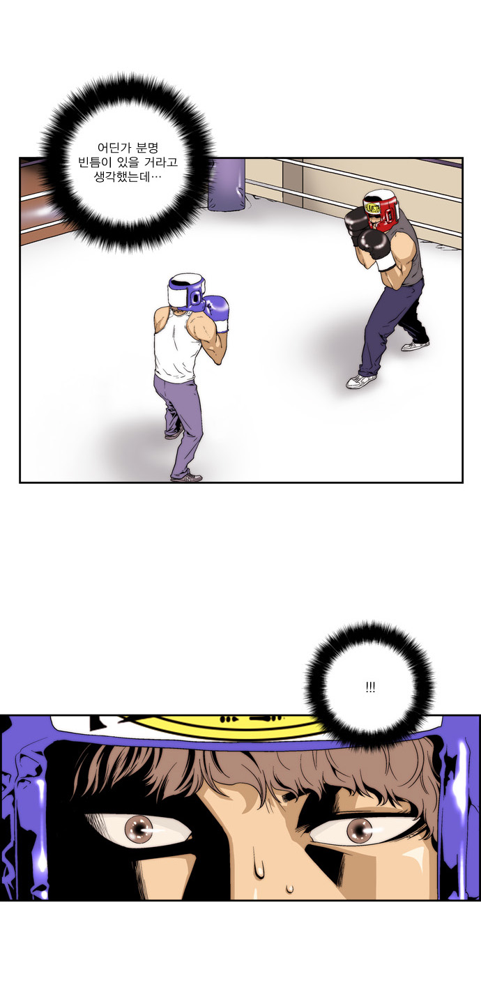 15 페이지