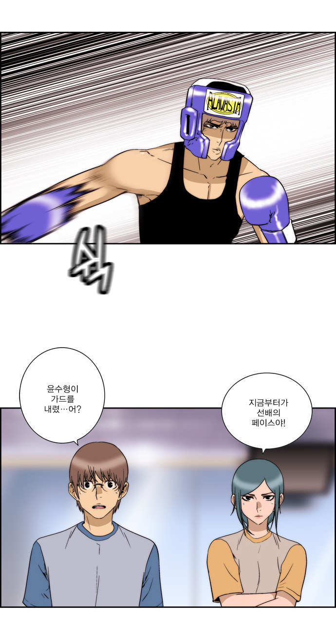14 페이지