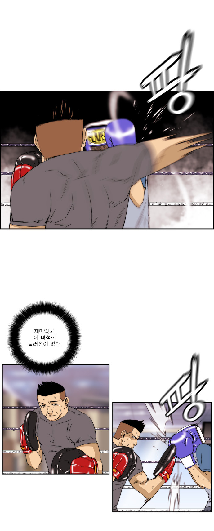13 페이지