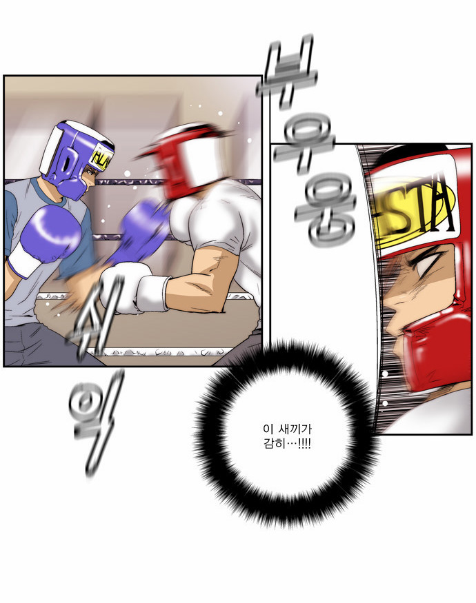 19 페이지