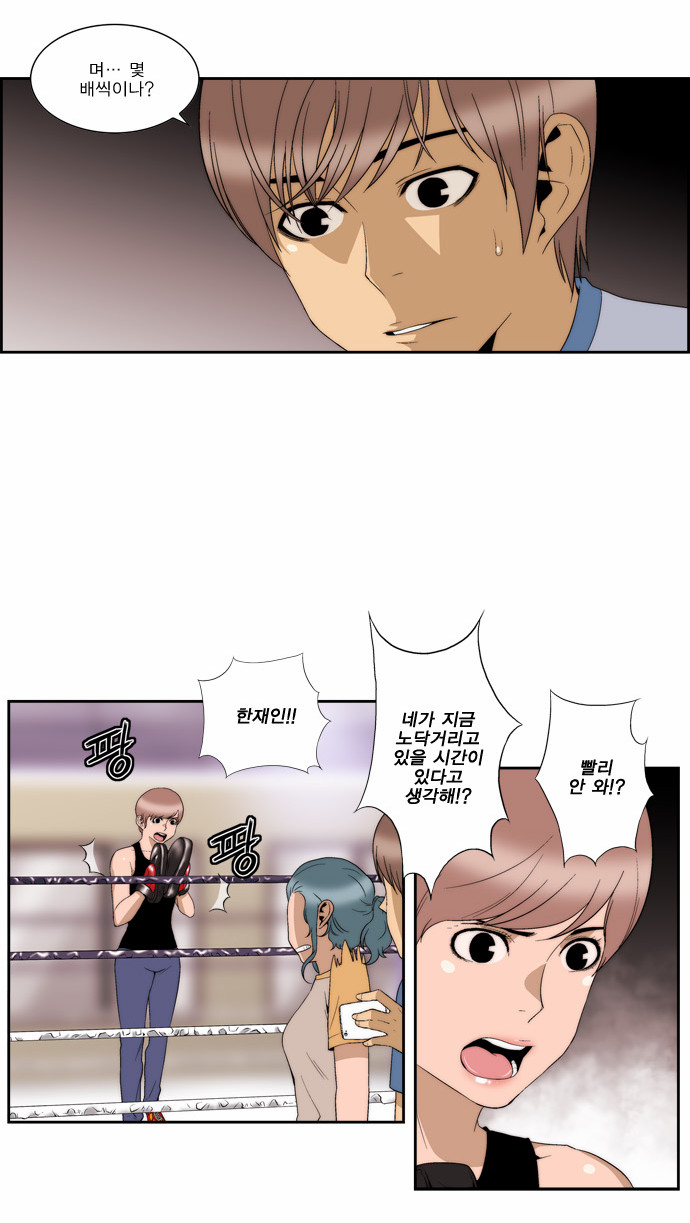 17 페이지