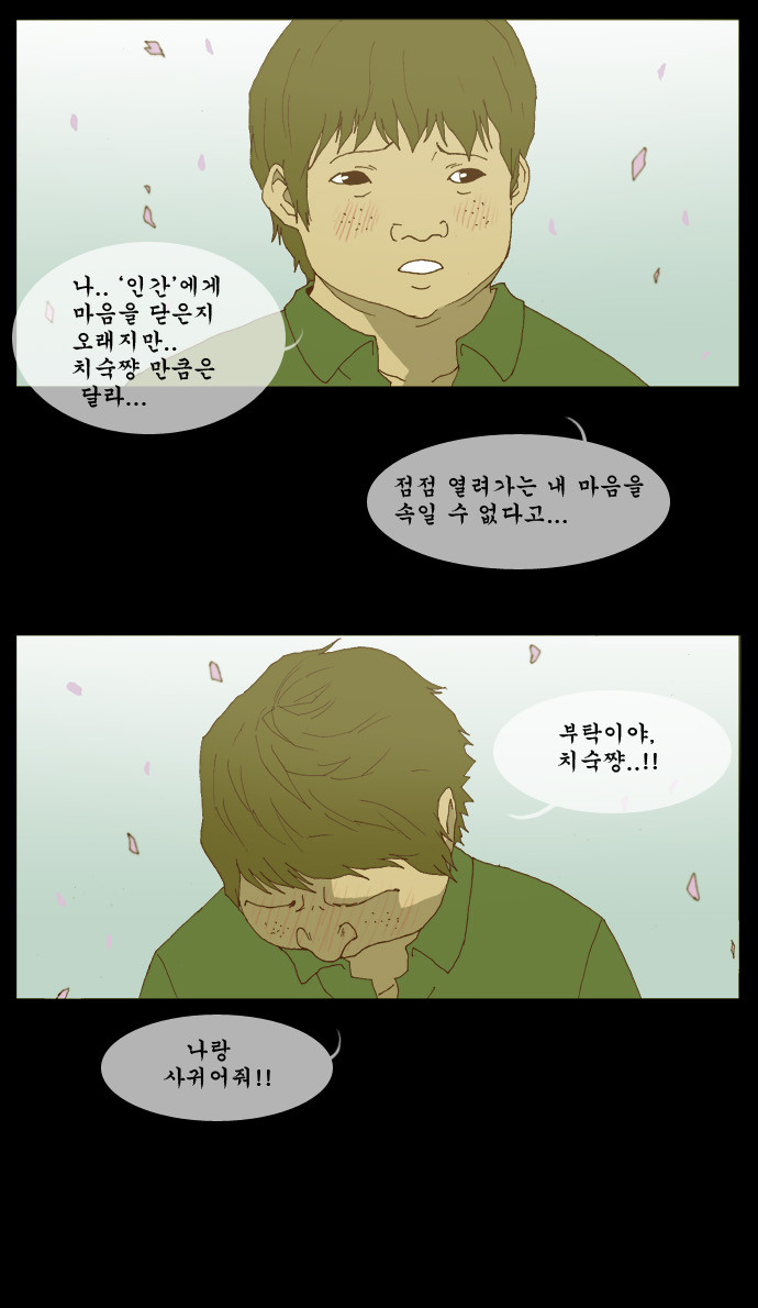13 페이지