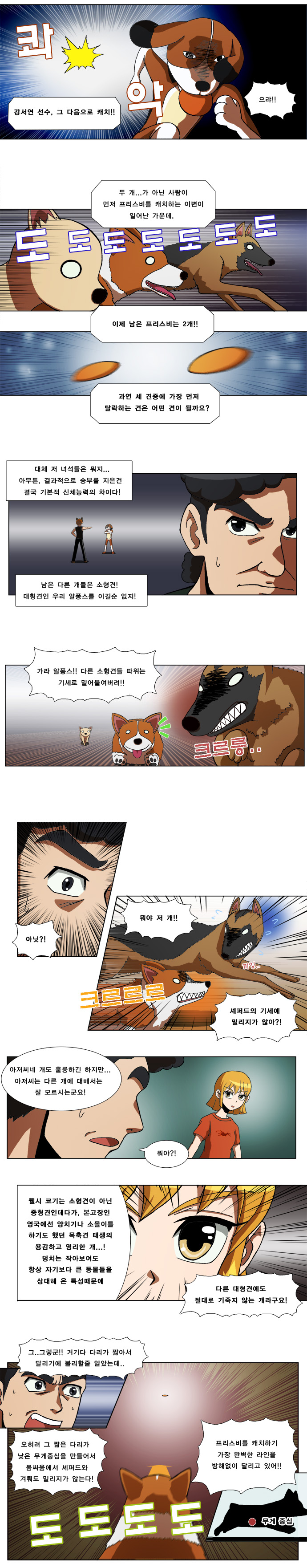 3 페이지