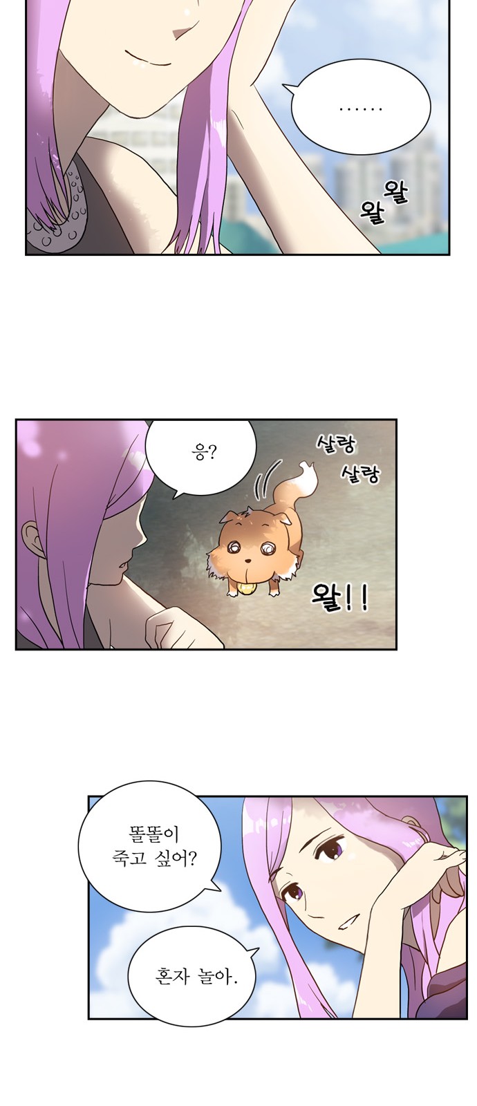 20 페이지