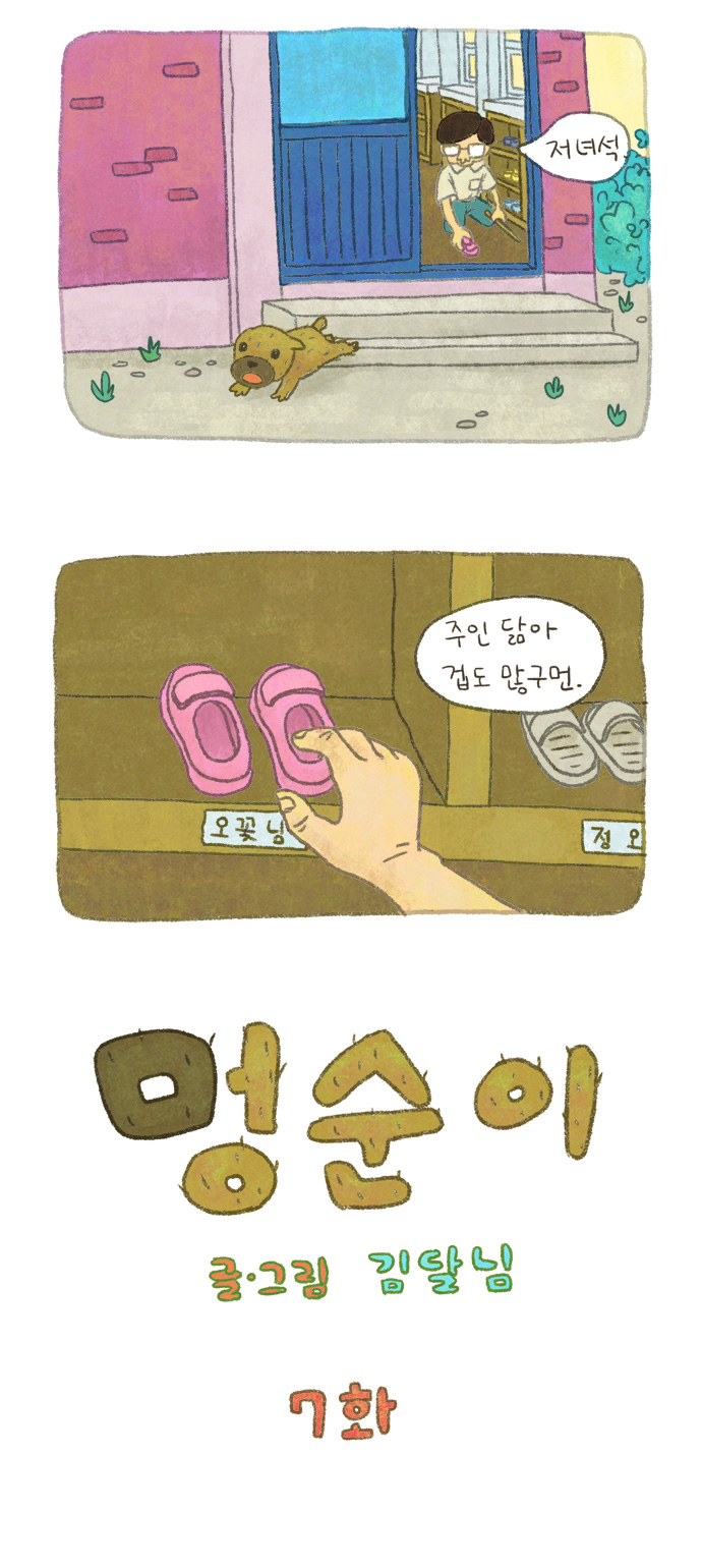 5 페이지