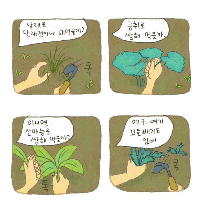 17 페이지
