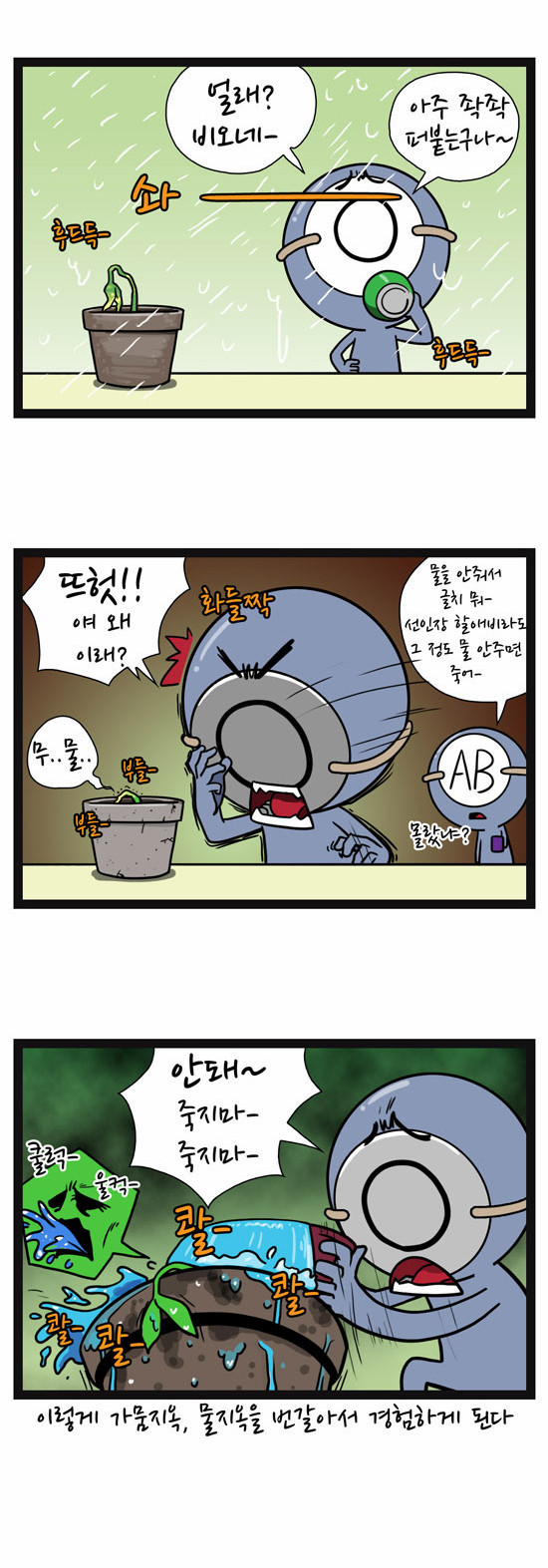 6 페이지