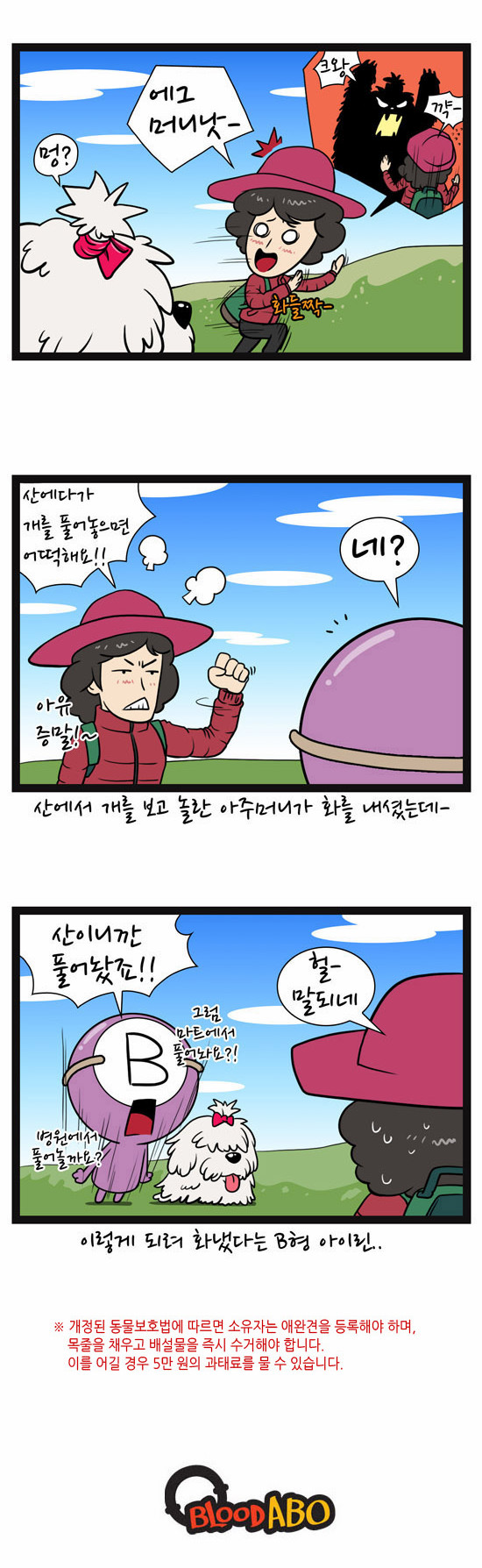 5 페이지