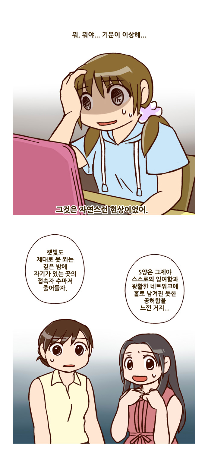 19 페이지