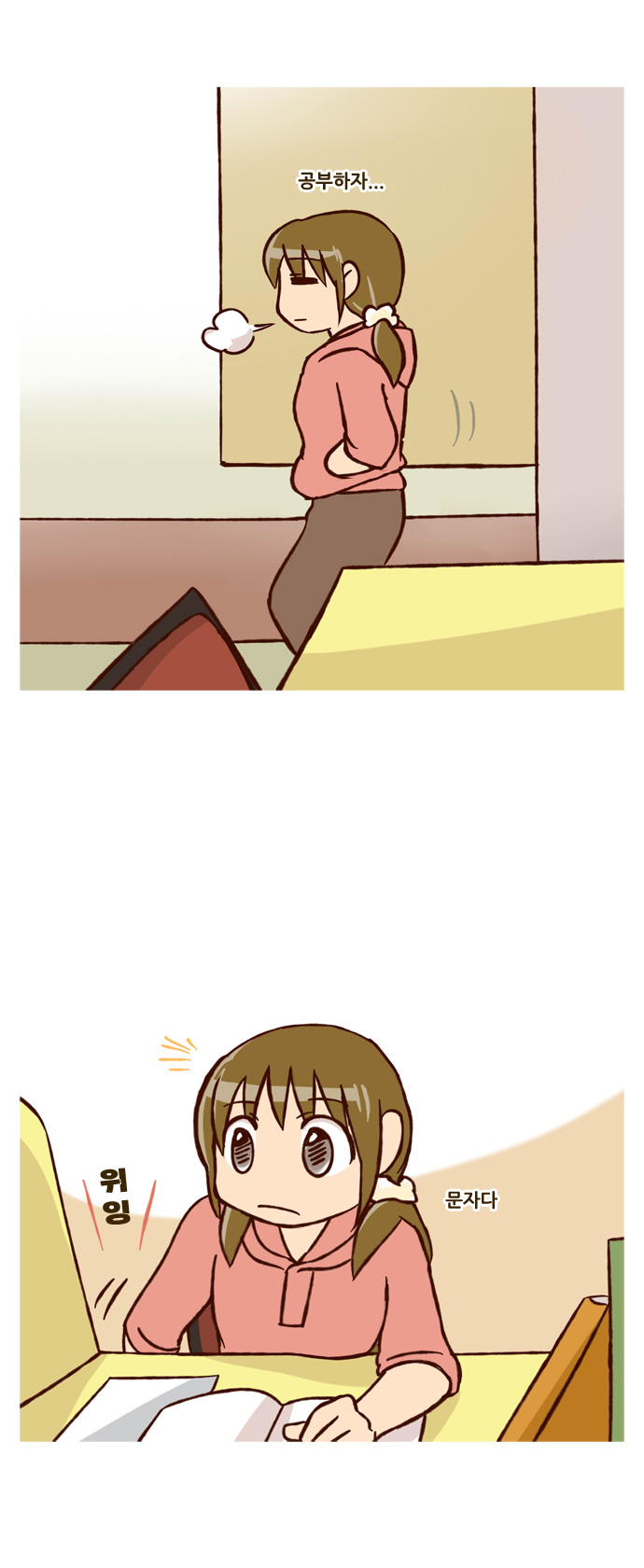 20 페이지