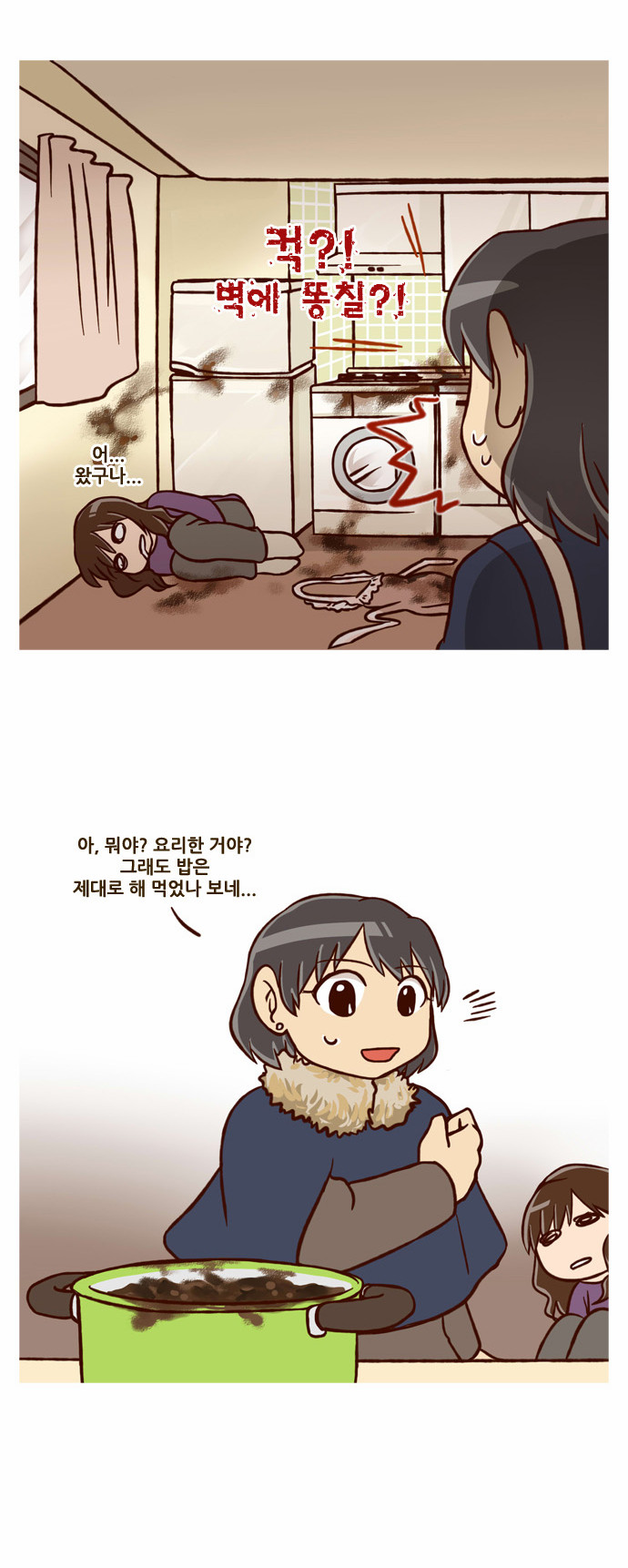 27 페이지