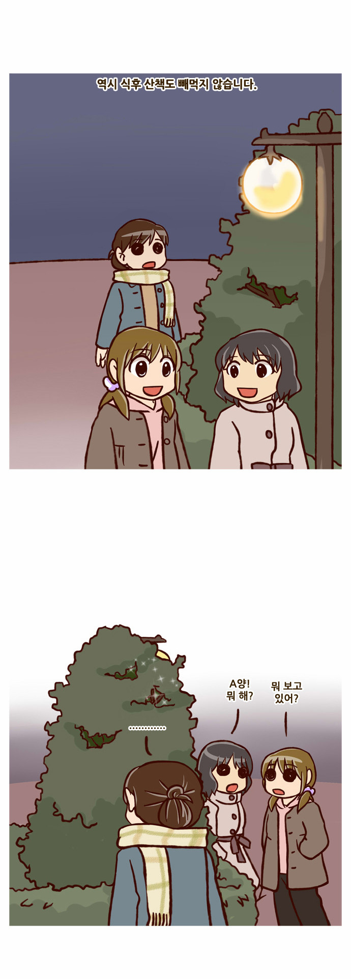 3 페이지