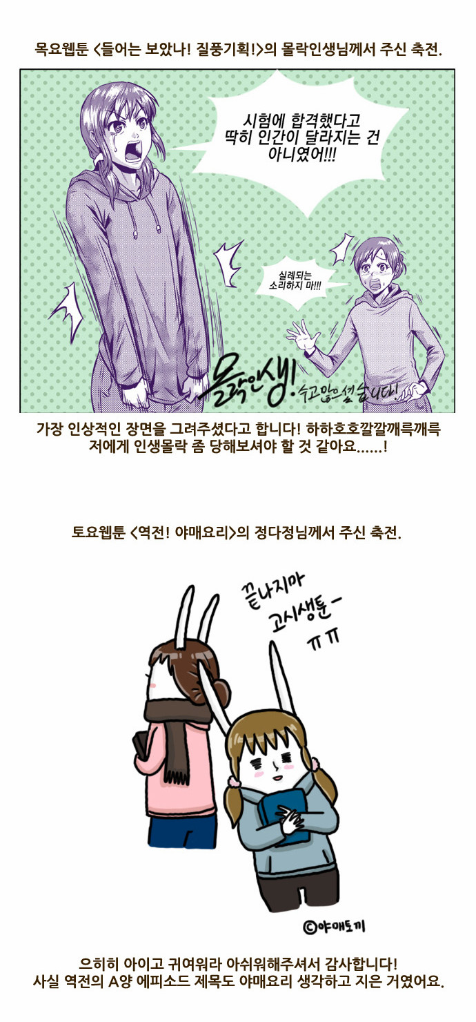 13 페이지