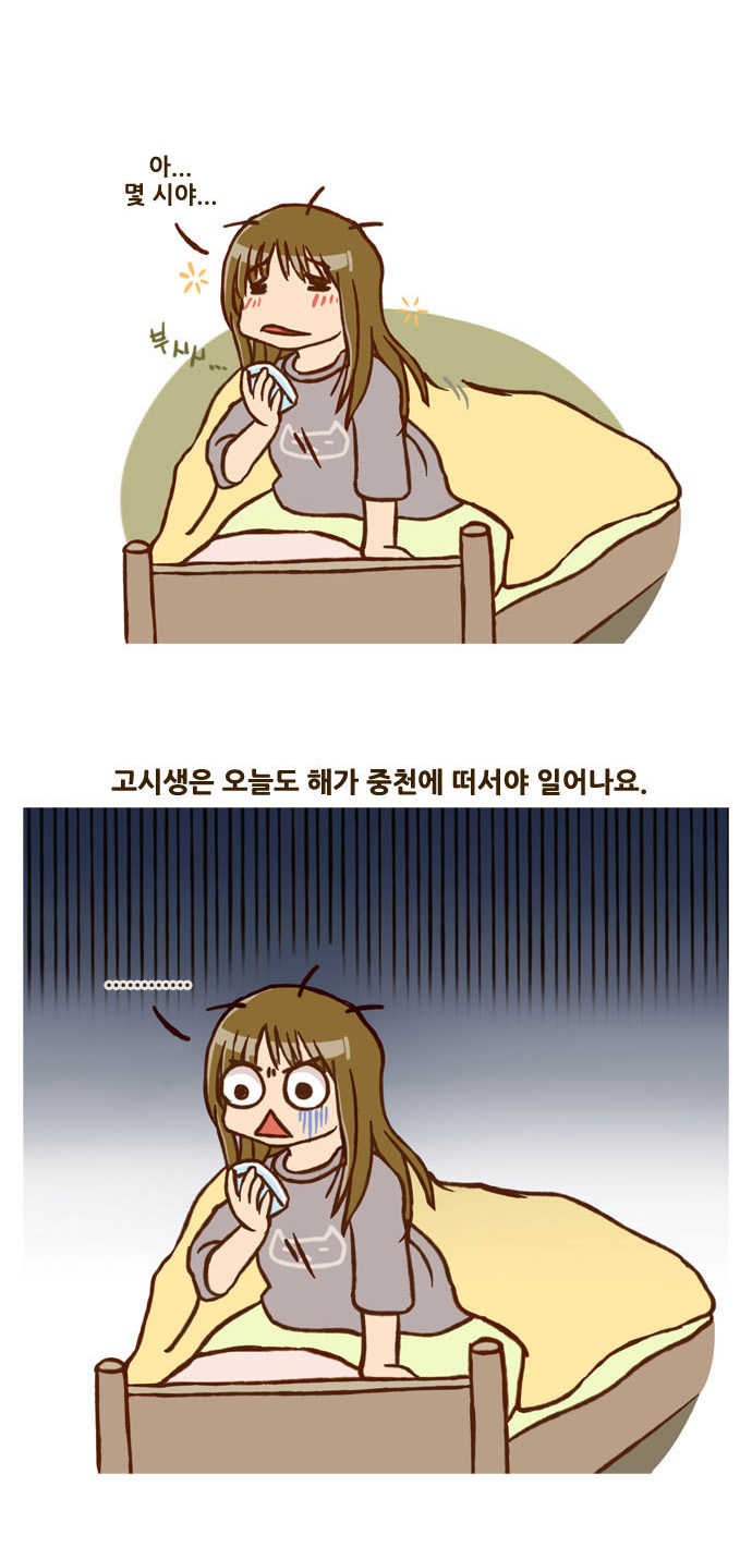 14 페이지