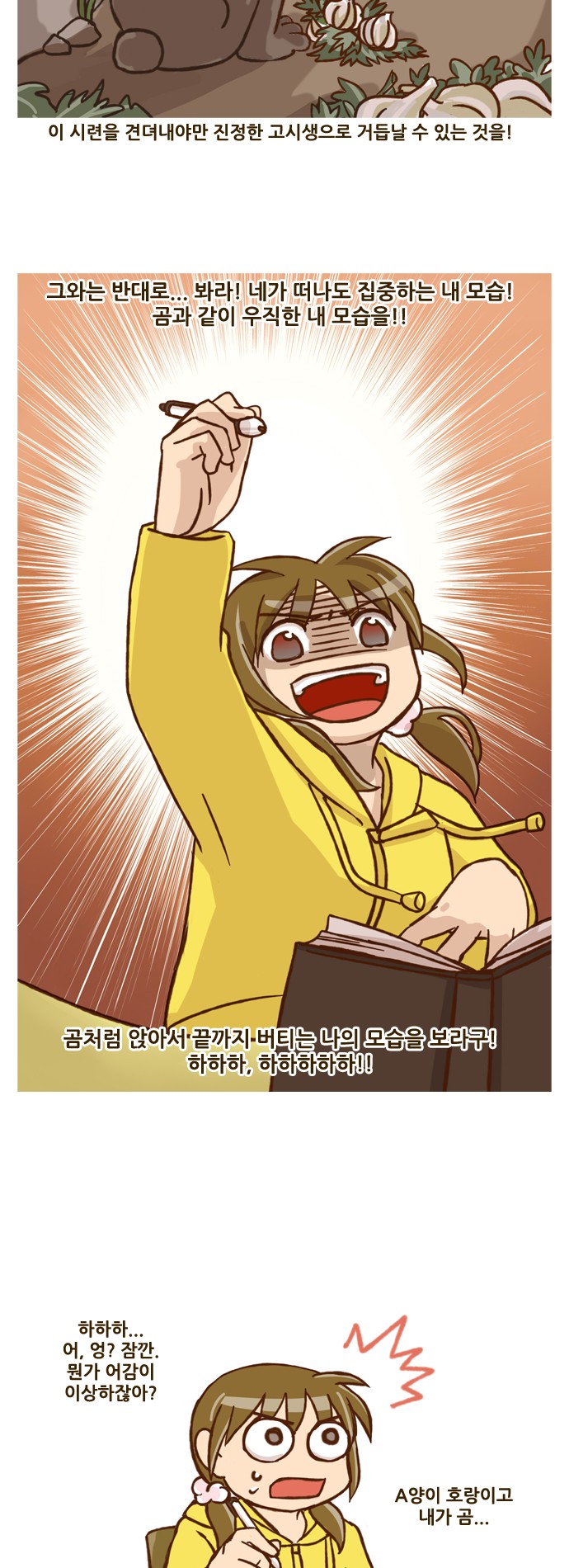 13 페이지