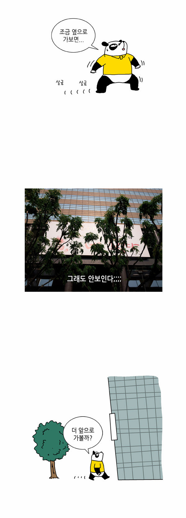 19 페이지