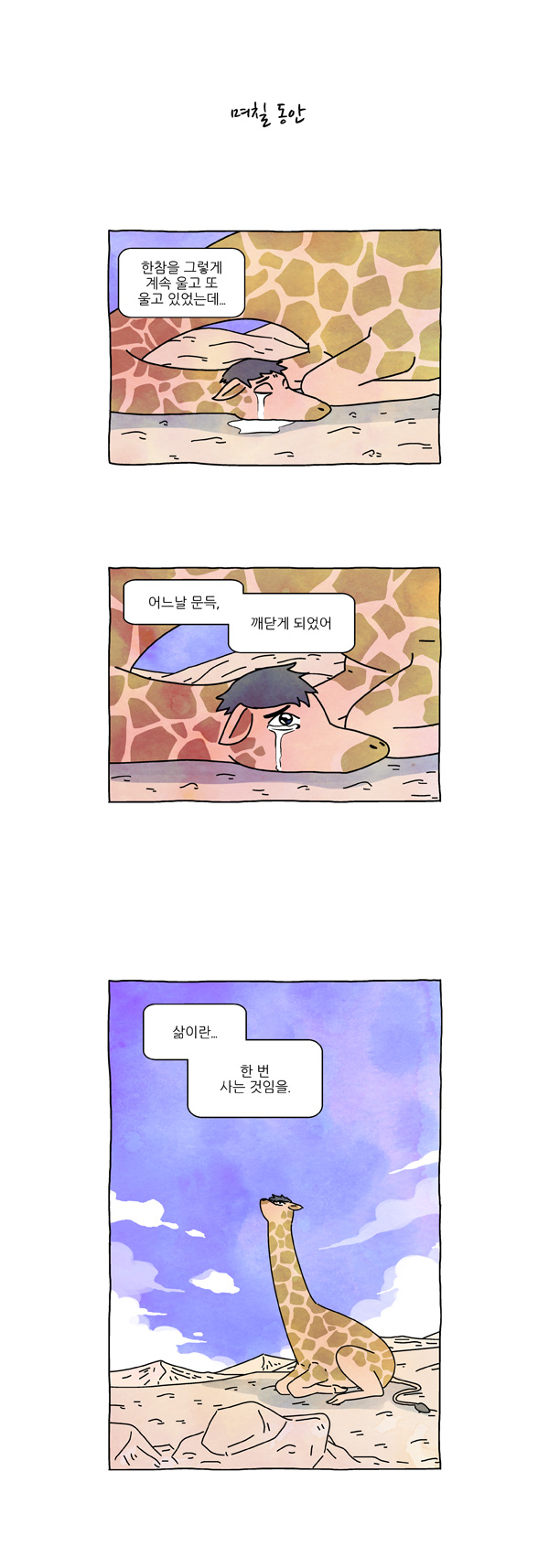 5 페이지