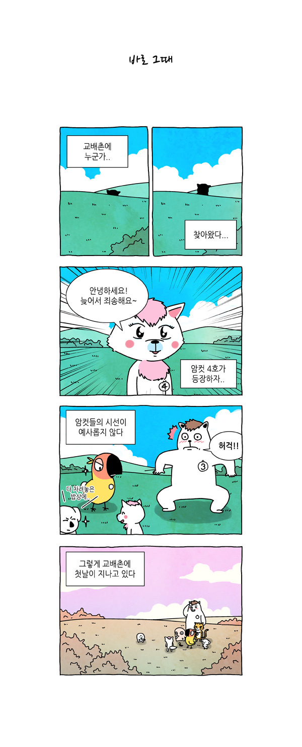 5 페이지
