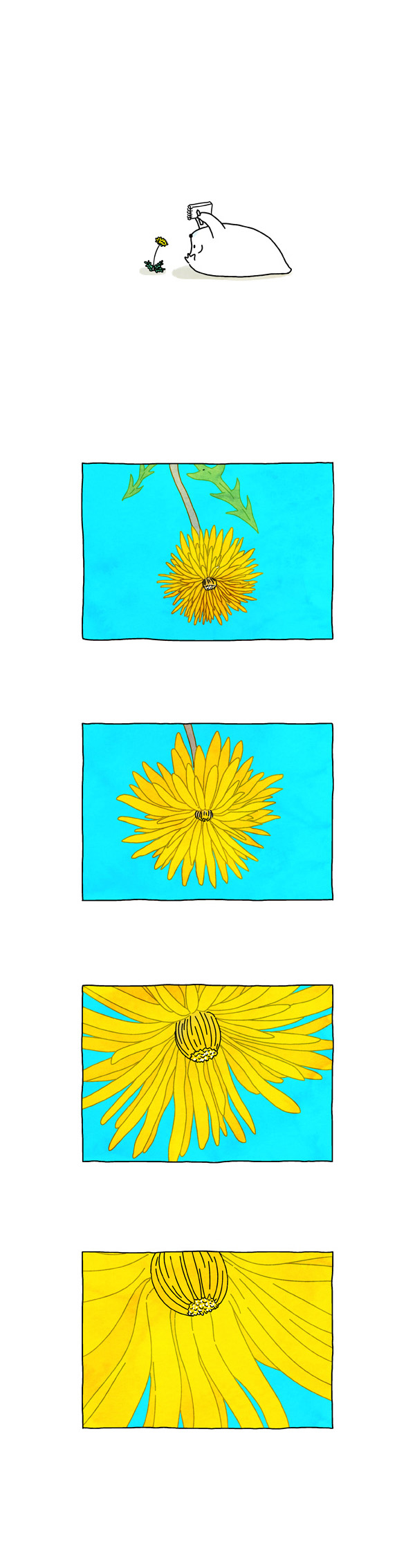 5 페이지