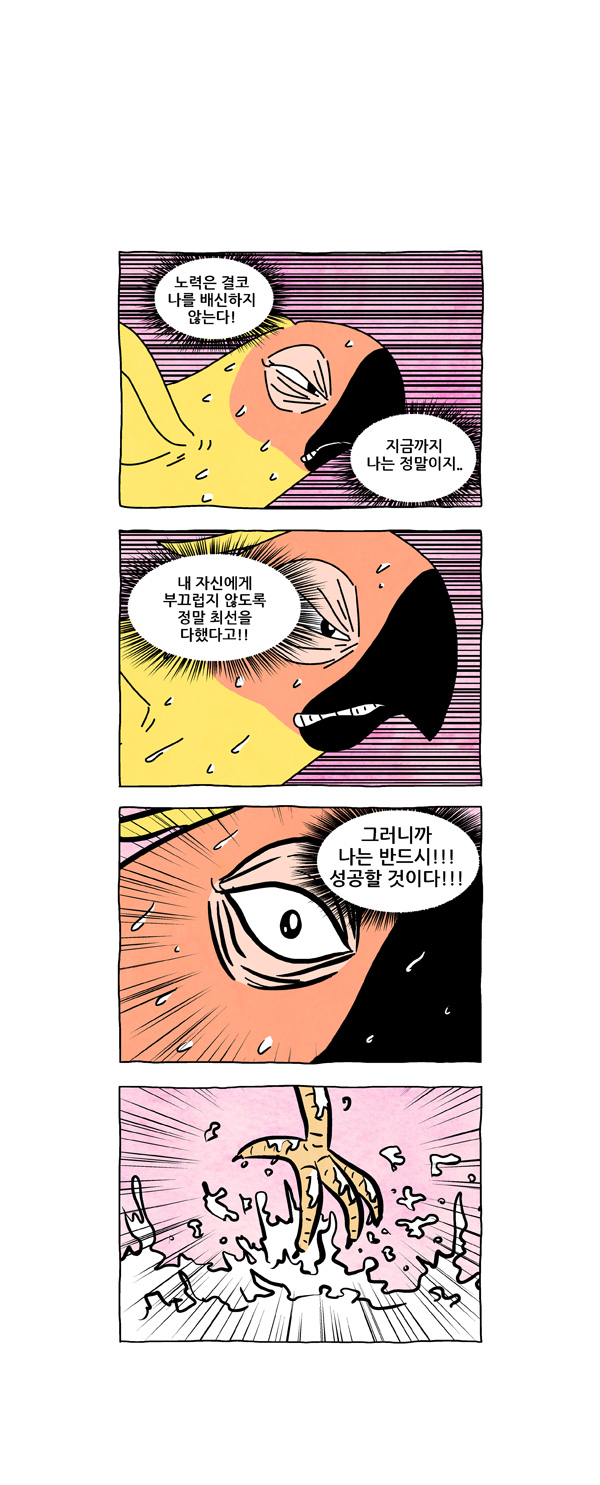 6 페이지