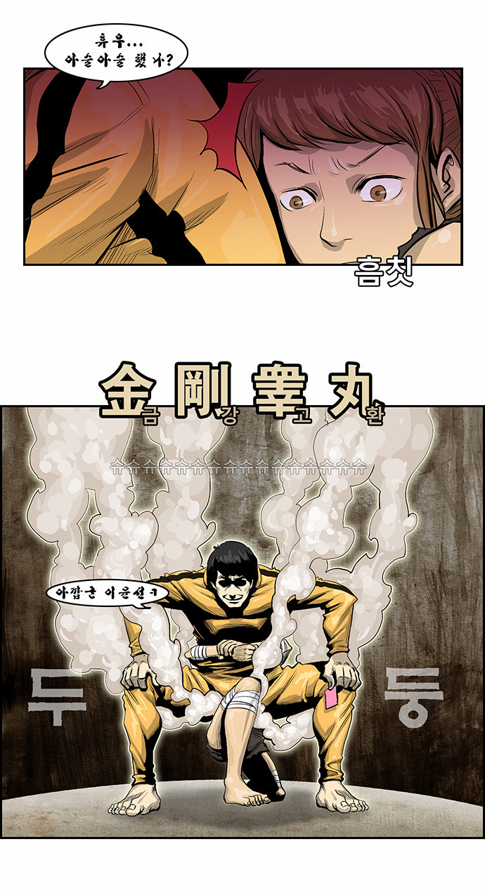 33 페이지