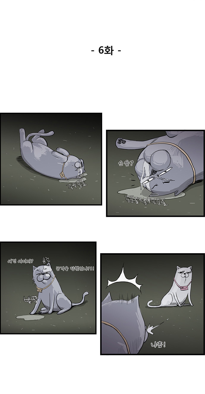 14 페이지