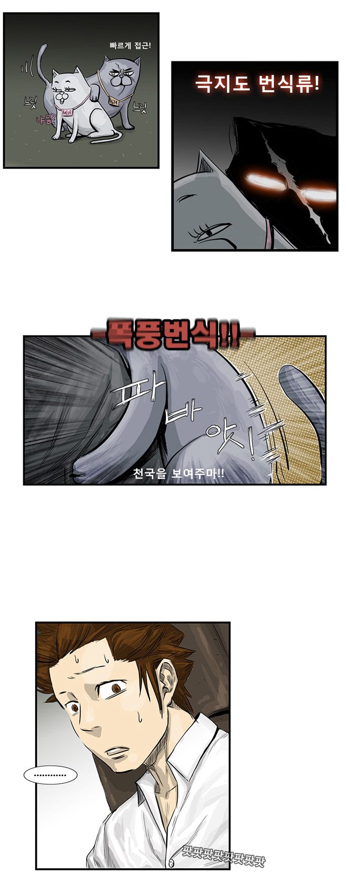 16 페이지