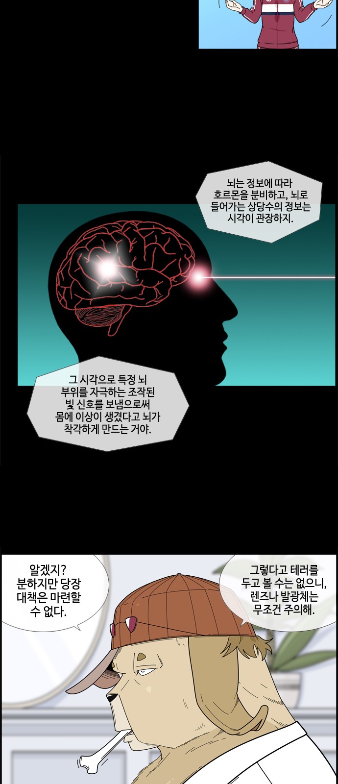 19 페이지