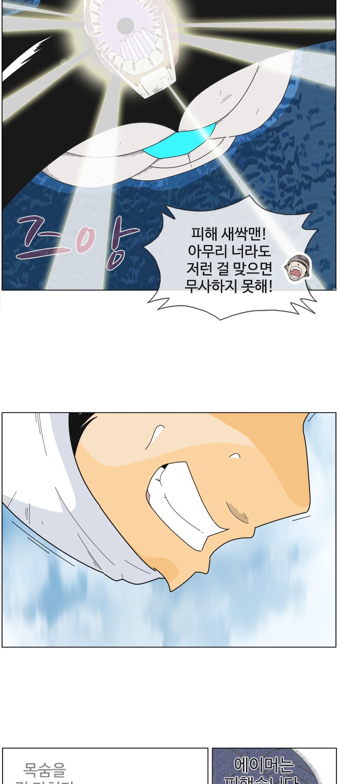 31 페이지