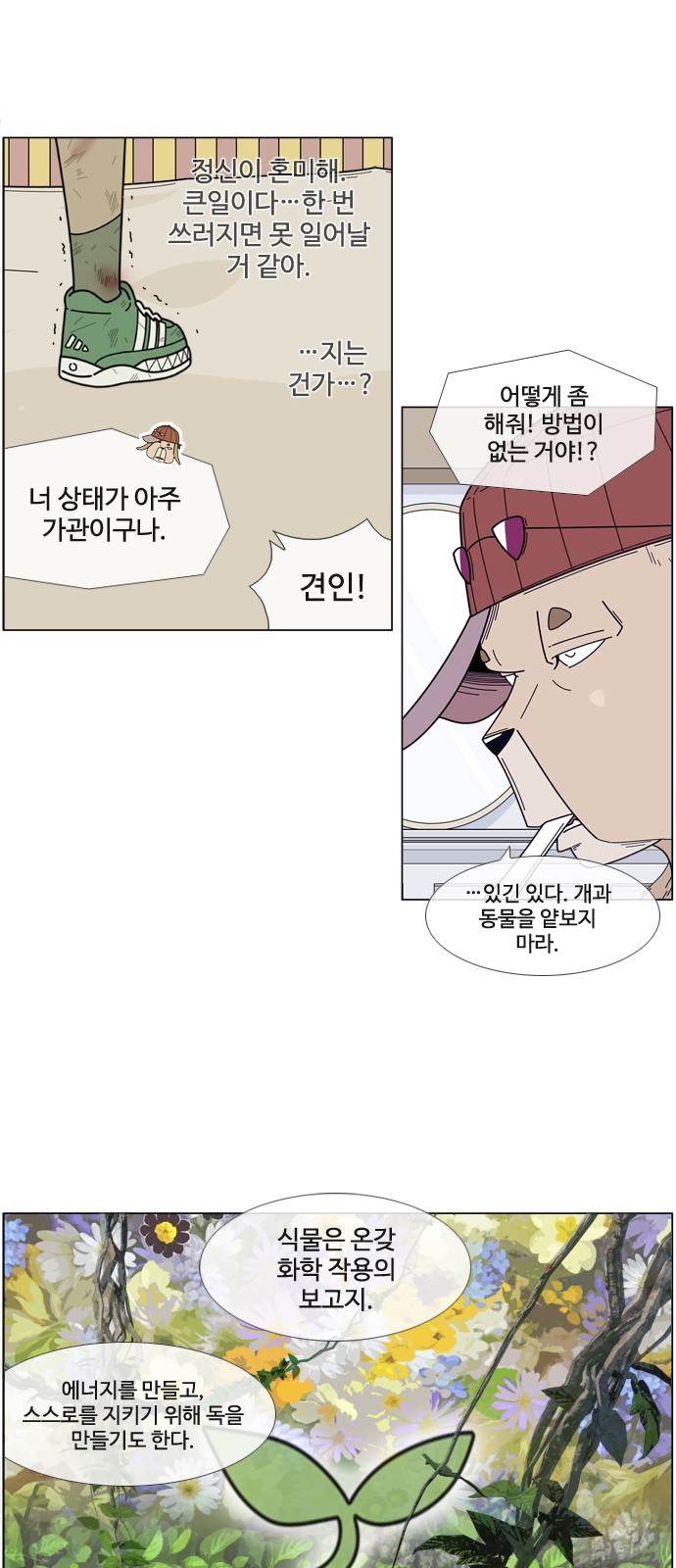 25 페이지