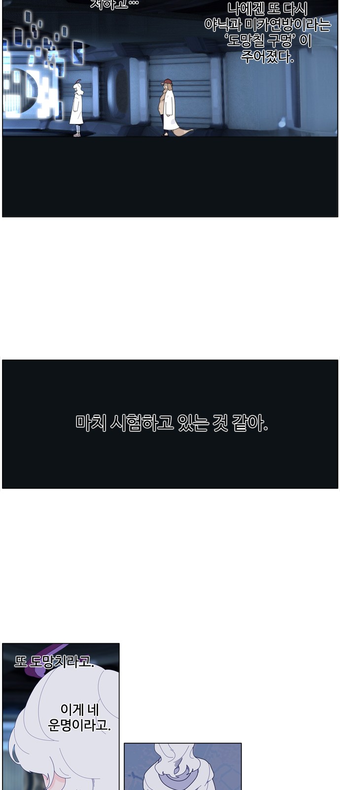 14 페이지