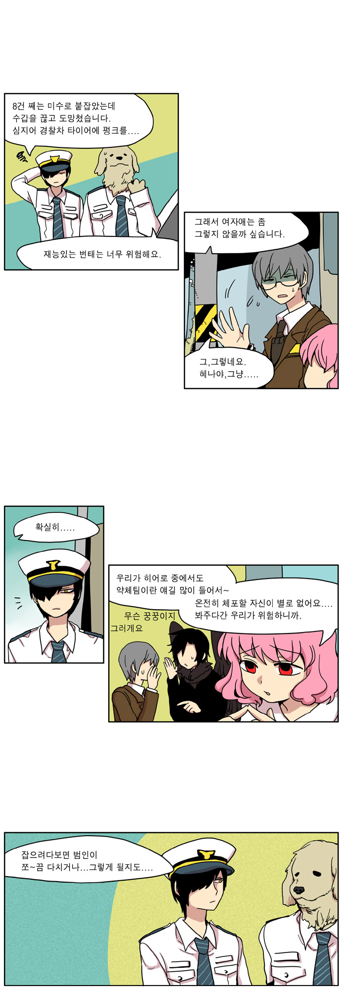 13 페이지