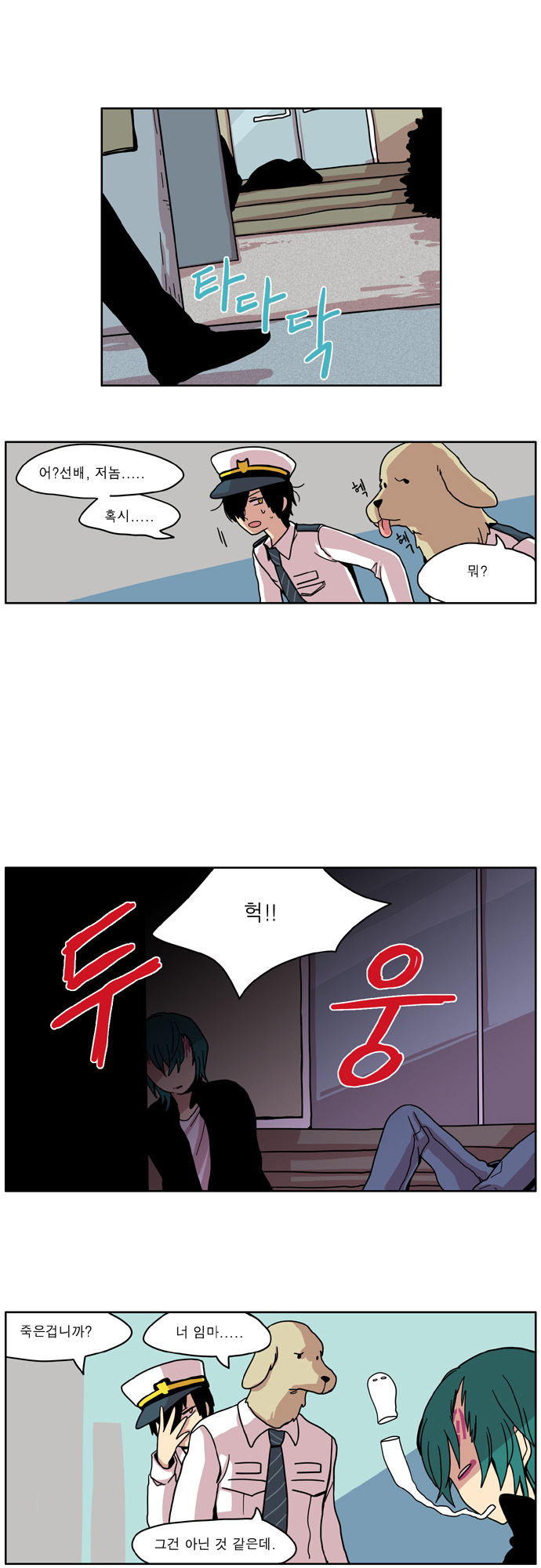 15 페이지