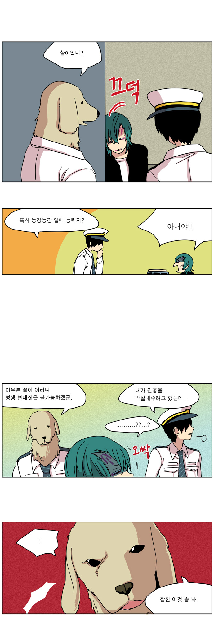 16 페이지