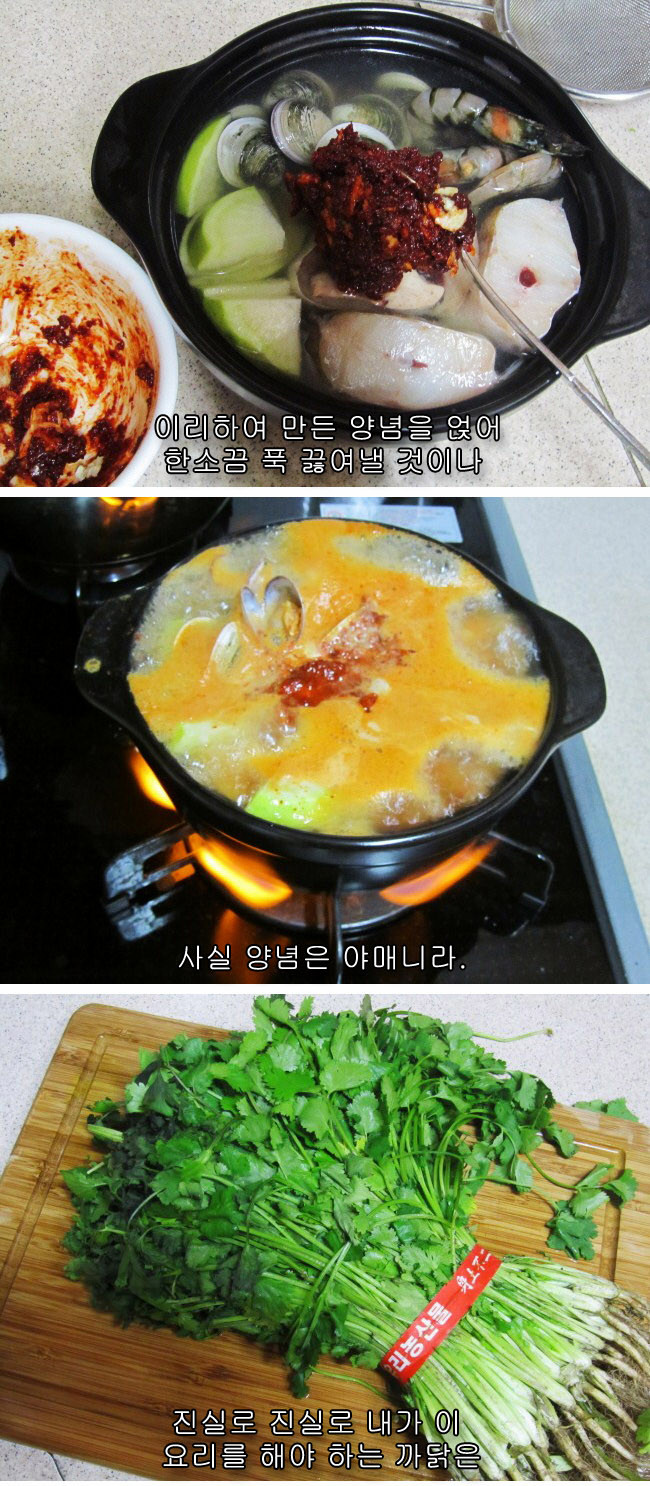 13 페이지