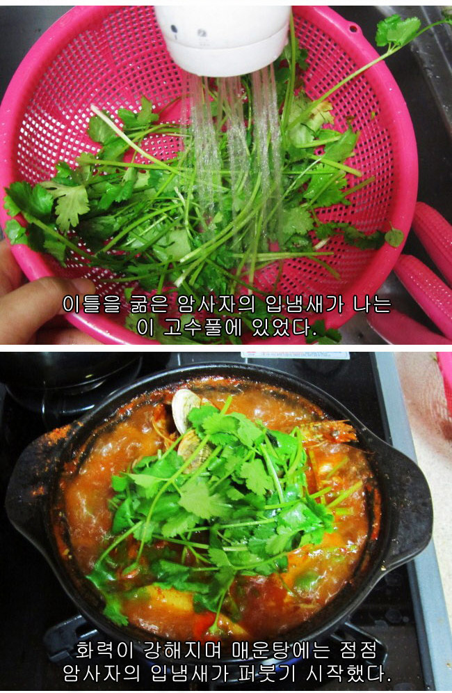 14 페이지
