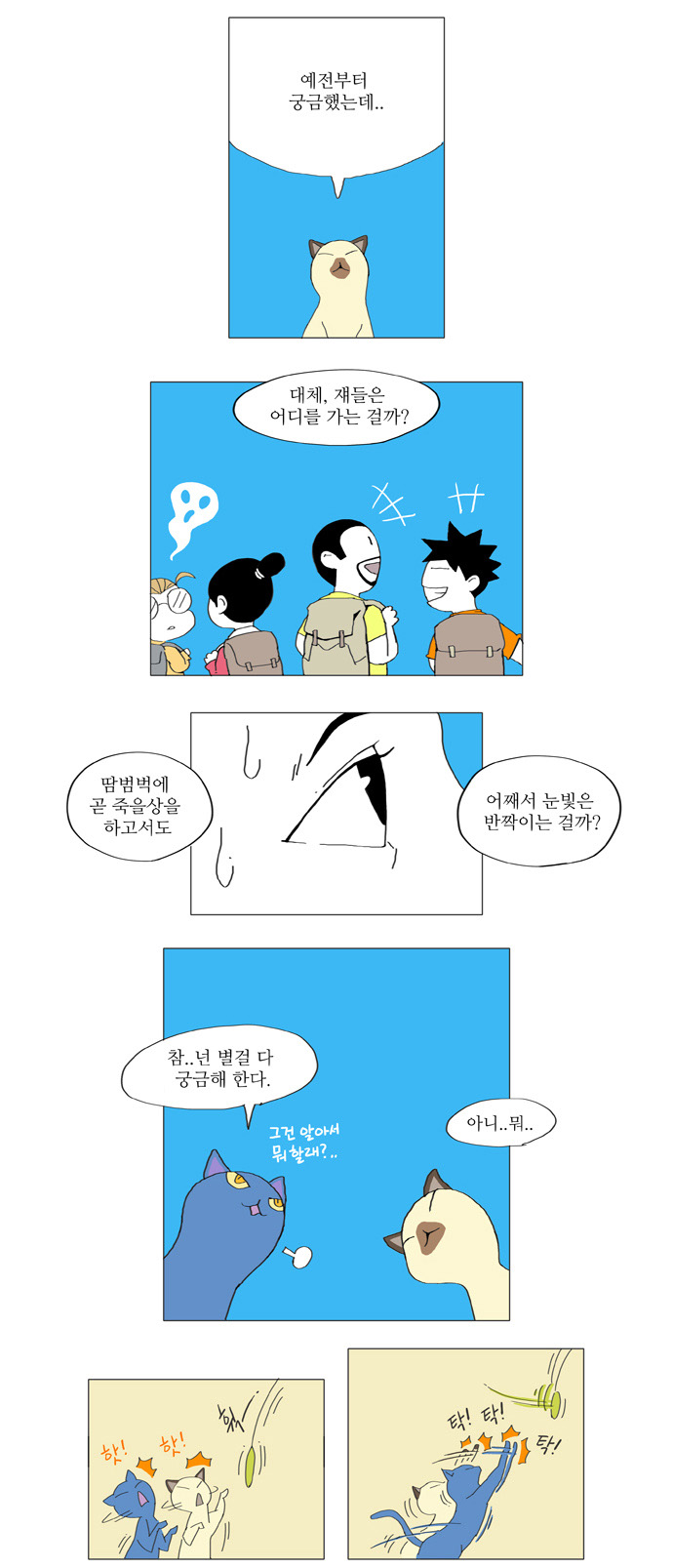 6 페이지