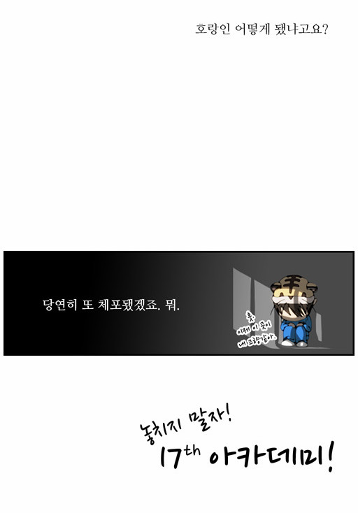11 페이지